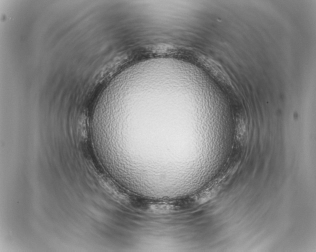 X0000086920470200705071332