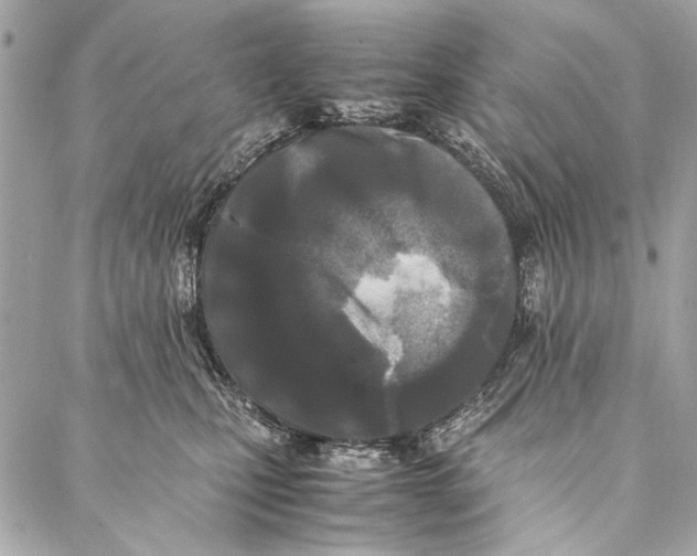 X0000086920471200705071332