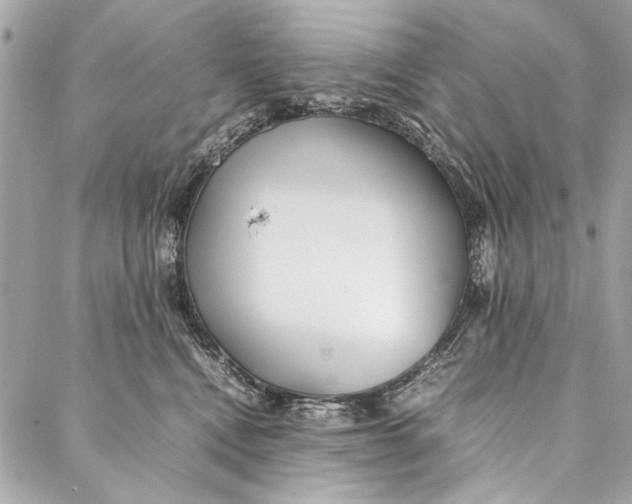 X0000086920472200705071332