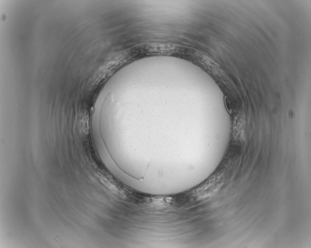 X0000086920474200705071332