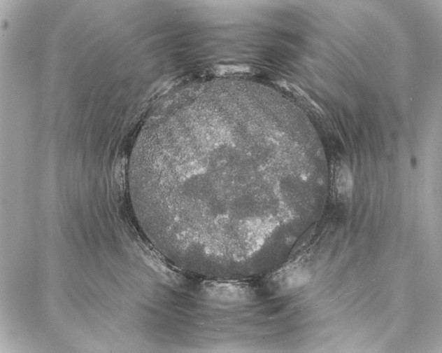 X0000086920475200705071332