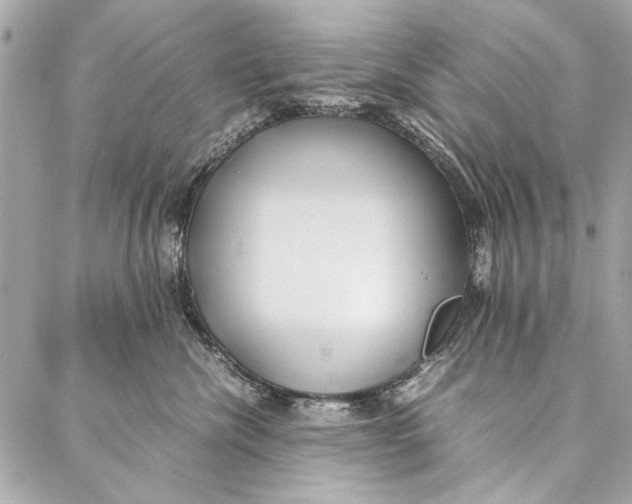 X0000086920476200705071332