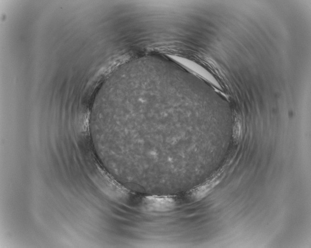 X0000086920477200705071332