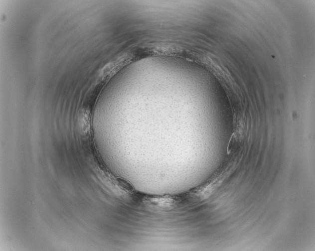 X0000086920478200705071332