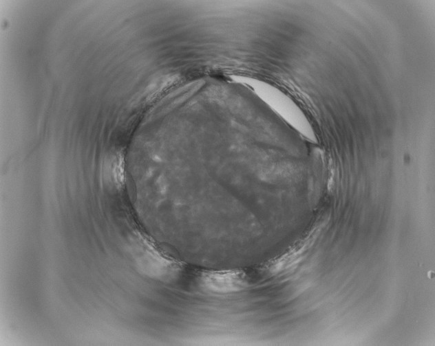 X0000086920479200705071332