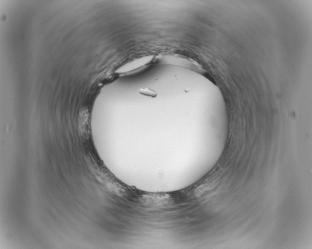 X0000086920480200705071332