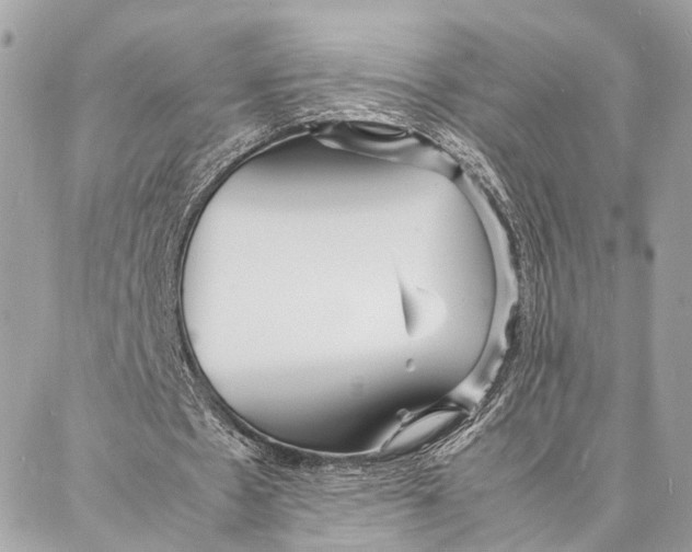 X0000086920481200705071332