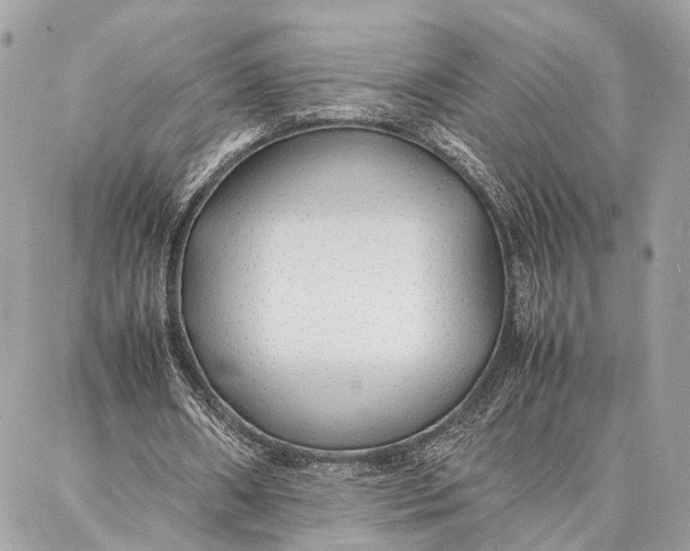 X0000086920482200705071332