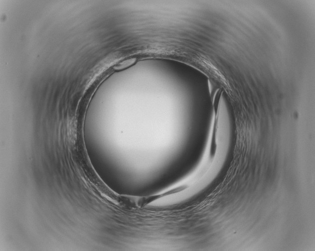 X0000086920484200705071332