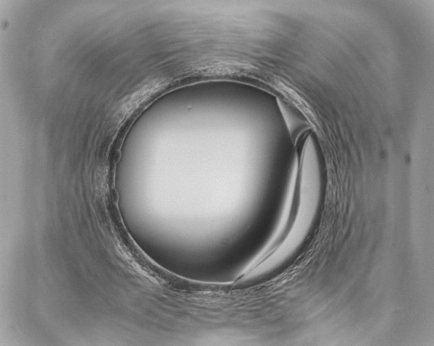 X0000086920485200705071332