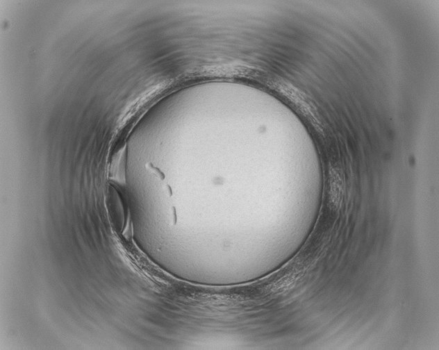 X0000086920486200705071332