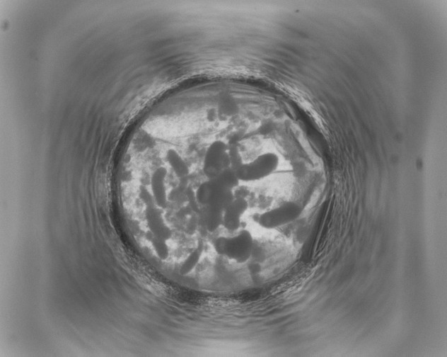 X0000086920487200705071332