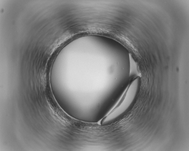 X0000086920488200705071332