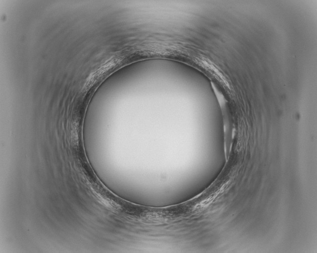 X0000086920489200705071332