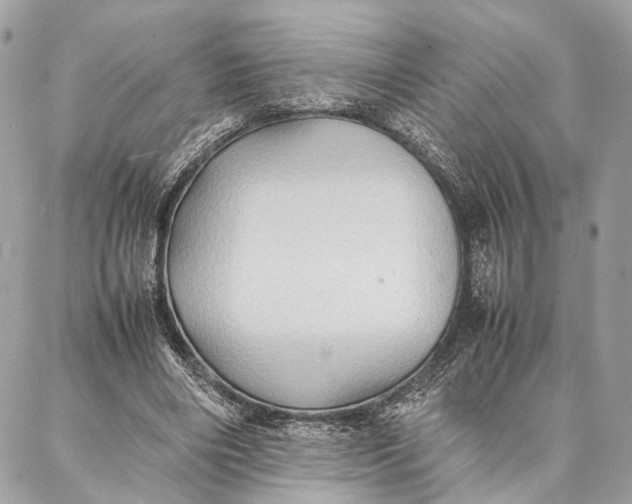 X0000086920490200705071332