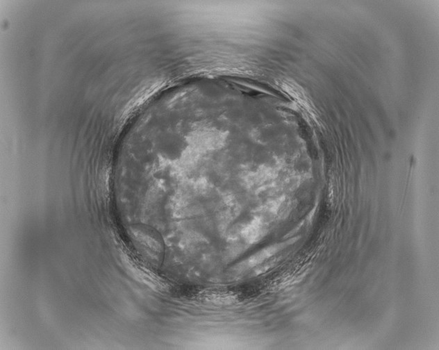 X0000086920491200705071332