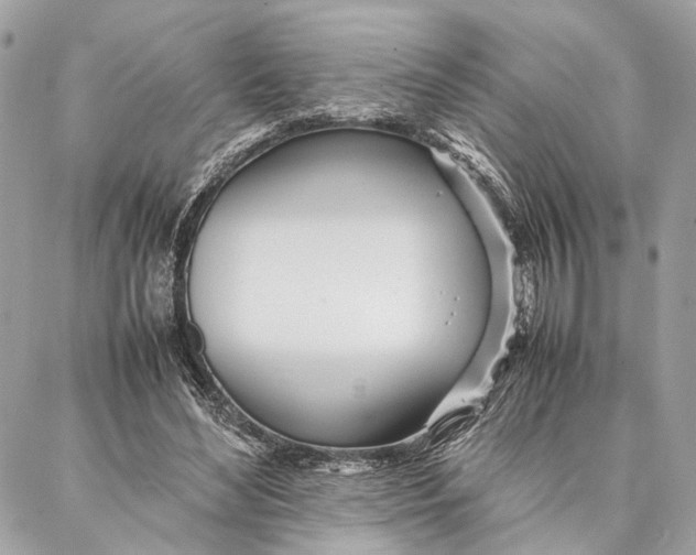 X0000086920492200705071332