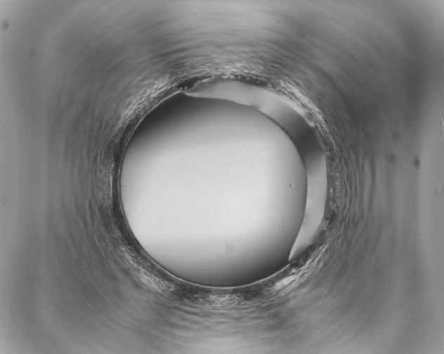 X0000086920493200705071332