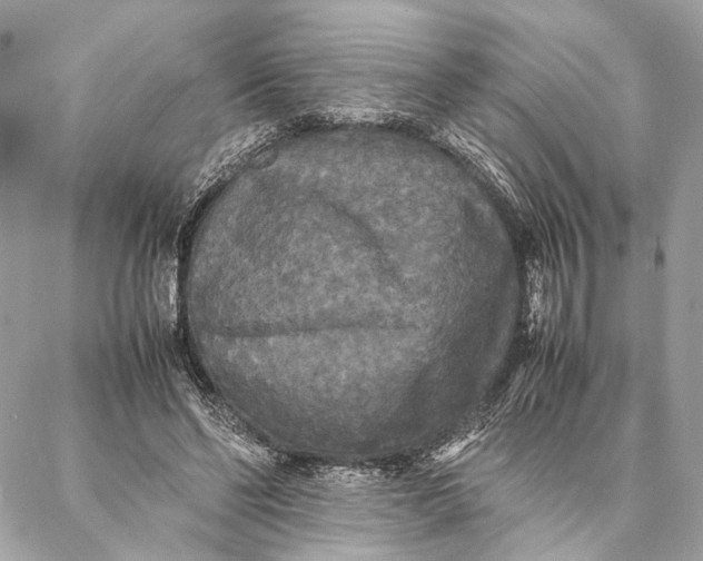 X0000086920494200705071332