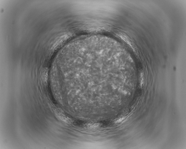 X0000086920495200705071331