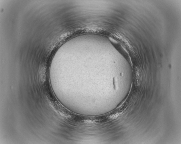 X0000086920496200705071331