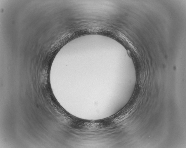 X0000086920497200705071331