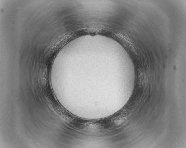 X0000086920498200705071331