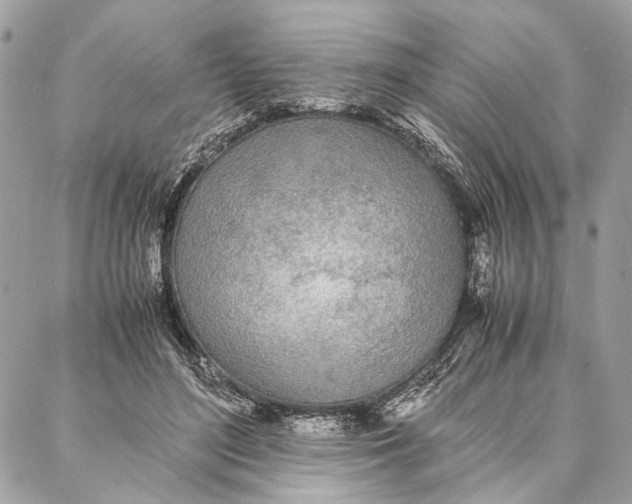 X0000086920500200705071331