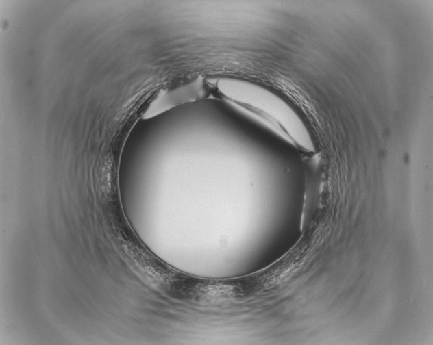 X0000086920501200705071331