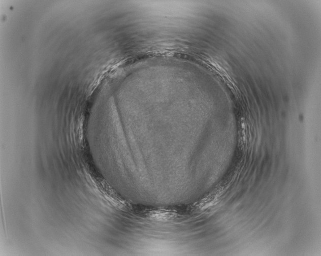 X0000086920504200705071331