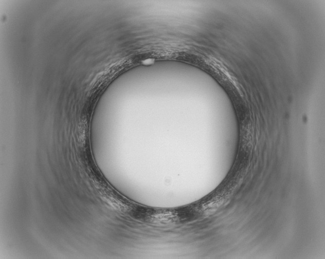 X0000086920505200705071331