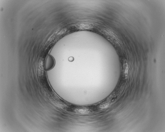 X0000086920506200705071331