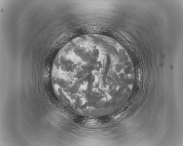 X0000086920507200705071331