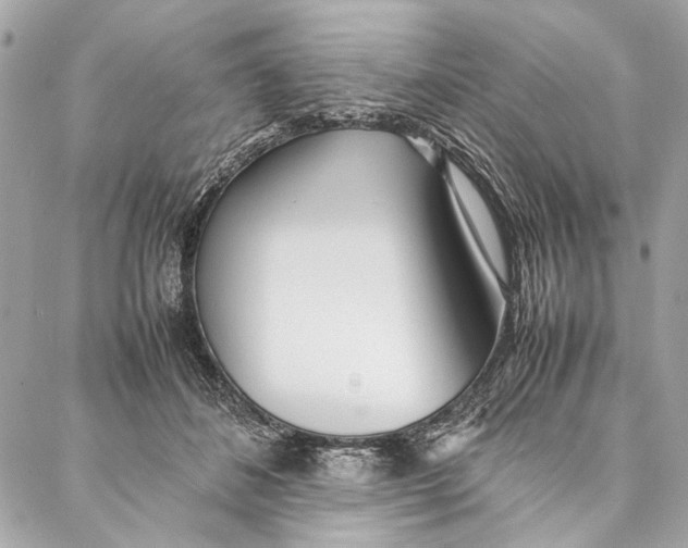 X0000086920508200705071331