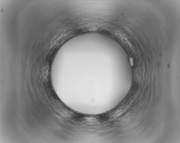 X0000086920509200705071331