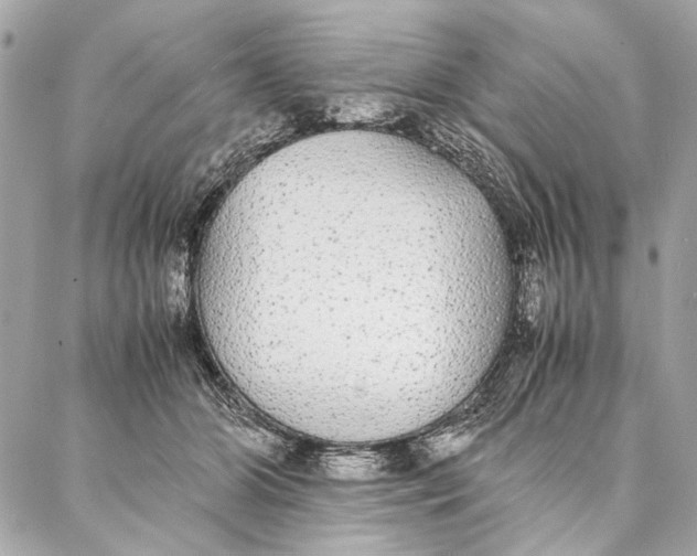 X0000086920510200705071331