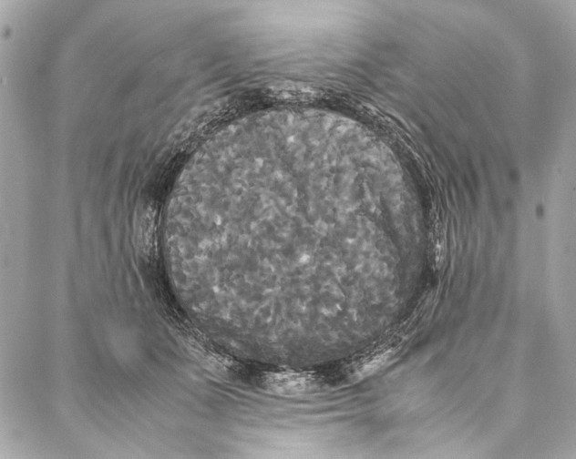 X0000086920511200705071331