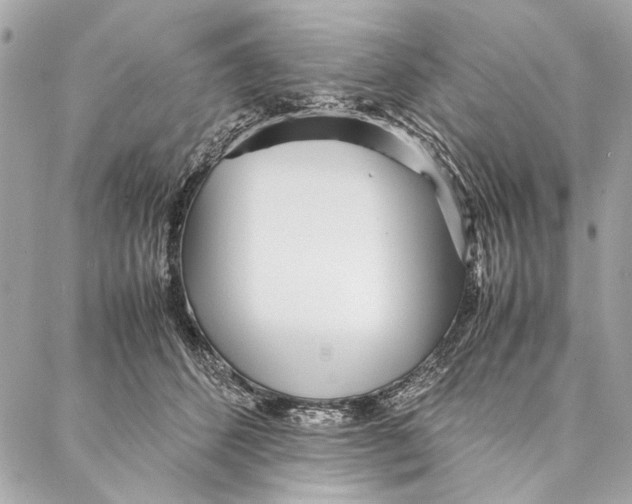 X0000086920512200705071331