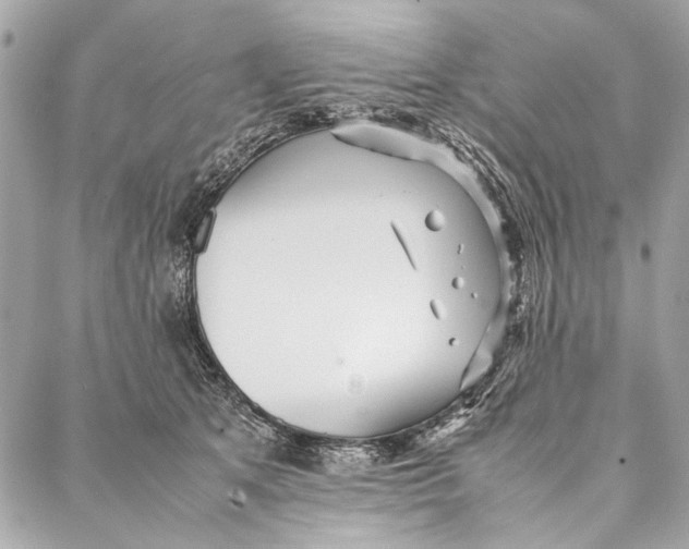 X0000086920513200705071331