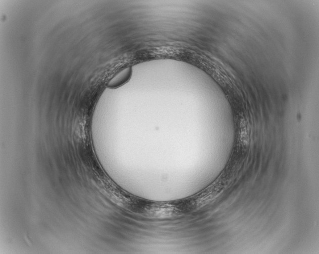 X0000086920514200705071331