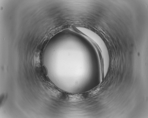 X0000086920516200705071331