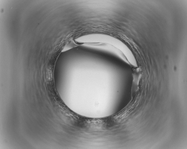 X0000086920517200705071331