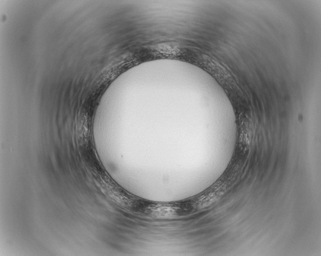 X0000086920518200705071331