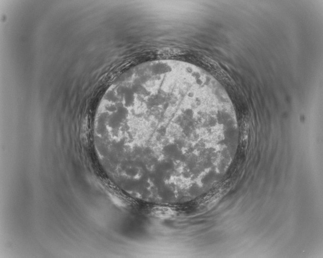 X0000086920519200705071331