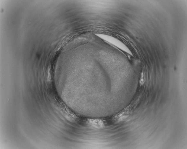 X0000086920520200705071331