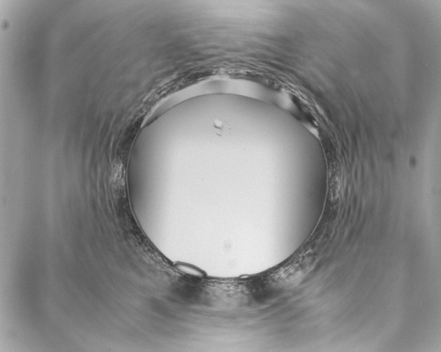 X0000086920521200705071331