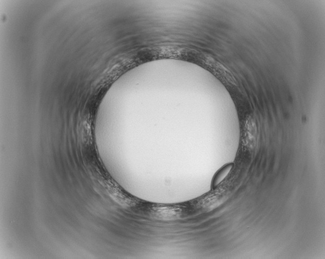 X0000086920522200705071331