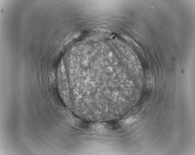 X0000086920523200705071331