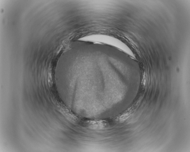 X0000086920524200705071331