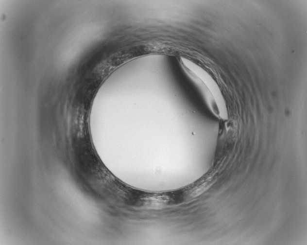 X0000086920525200705071331